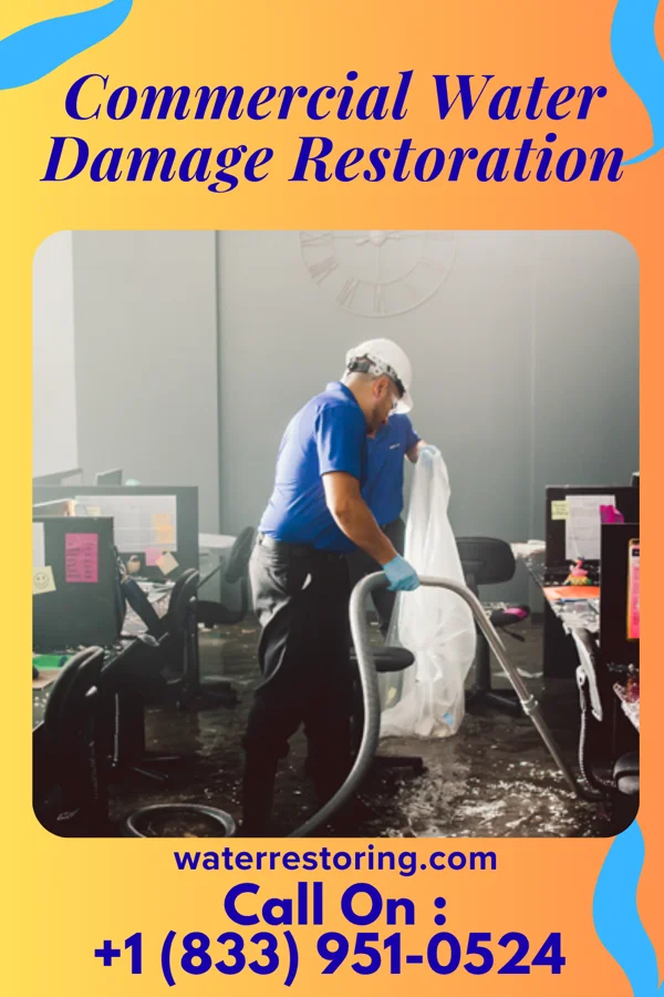 Commercial Water Damage Restoration in Higgston, GA